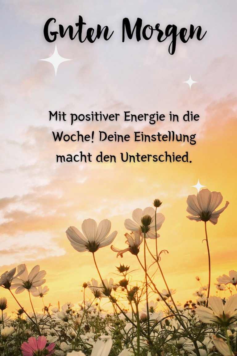 Guten Montag Bilder, Sprüche & GIFs für den Wochenstart